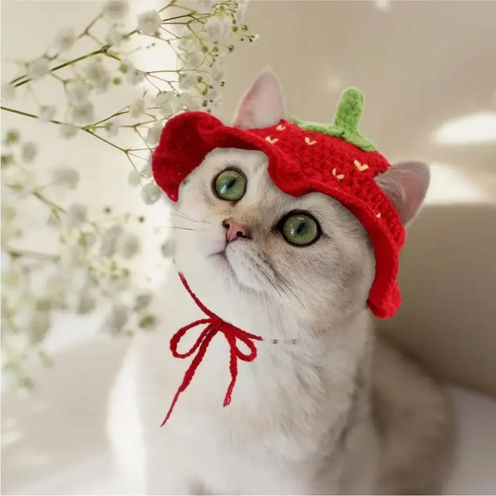 Red Strawberry Handcrafted Crochet Cat Dog or Small Pet Hat (Sm)
